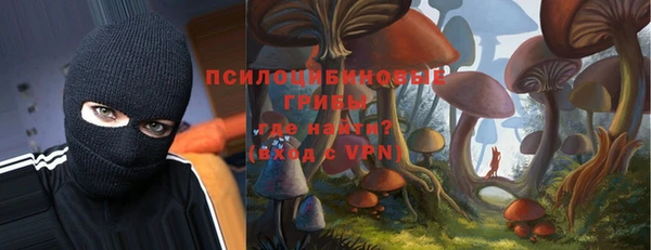 стафф Верхний Тагил