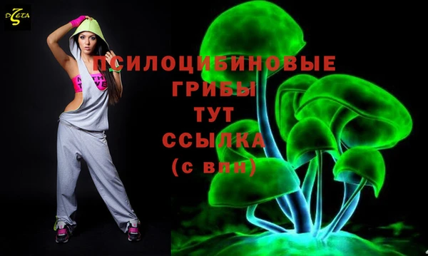 шишки Волосово