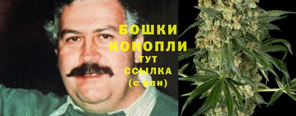 стафф Верхний Тагил
