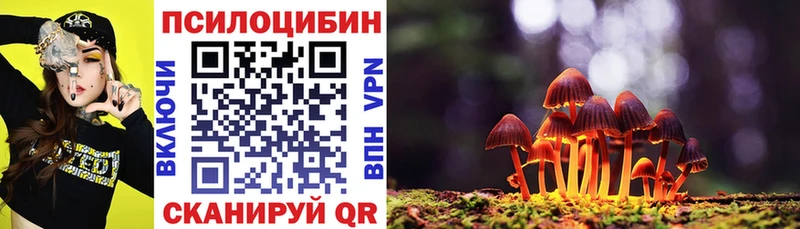 Псилоцибиновые грибы мицелий  Выкса 